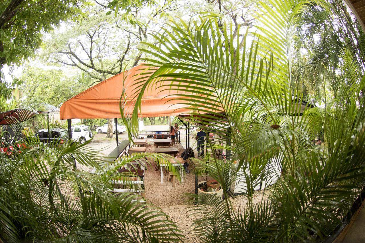 Hotel Disfrutalo Playa Santa Teresa  Exteriér fotografie